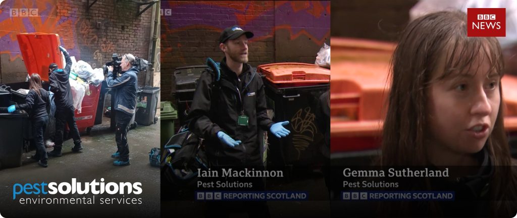 Iain Mackinnon and Gemma Sutherland from Pest Solutions Interviewed on BBC Scotland News