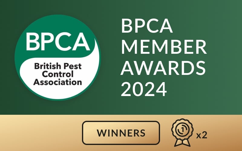BPCA Member Awards Winners 2024