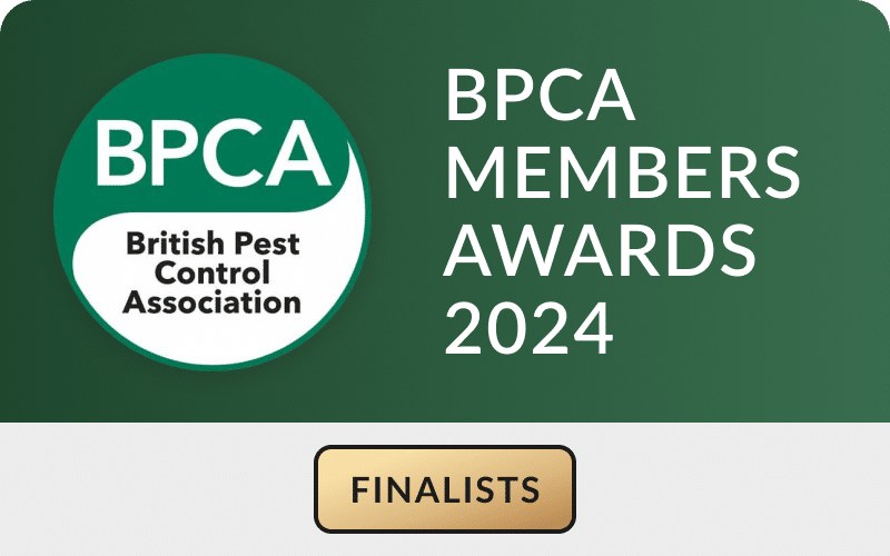 BPCA Member Awards 2024 Finalists