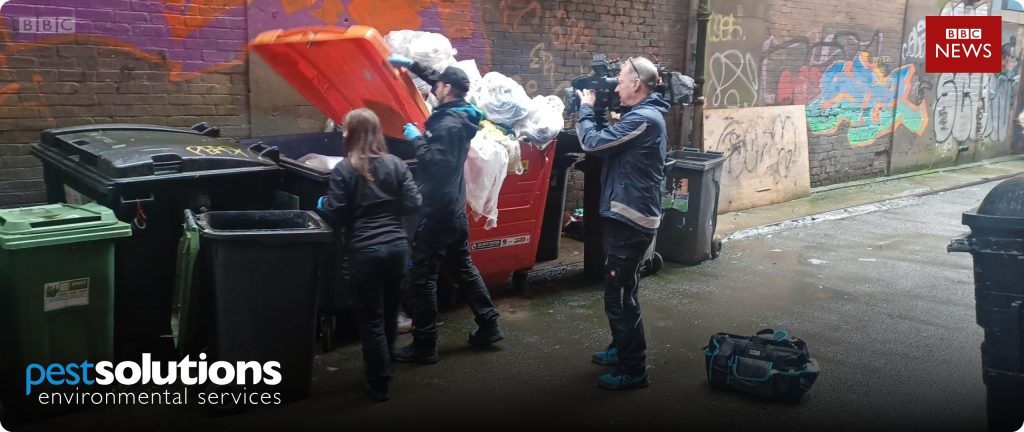 Gemma Sutherland and Iain Mackinnon show BBC news rat activity in Glasgow