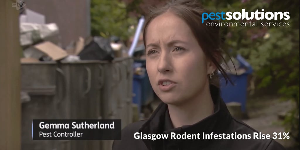 Gemma Sutherland - Pest Professional - Glasgows Rise In Rodent Infestations - Pest Solutions