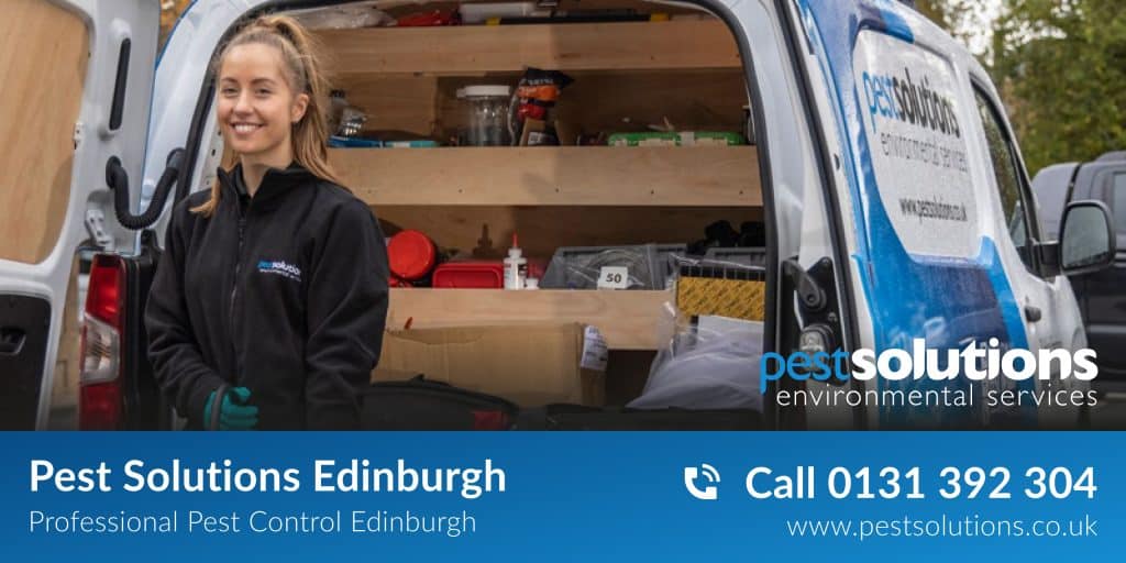 Pest Control Edinburgh Pest Solutions