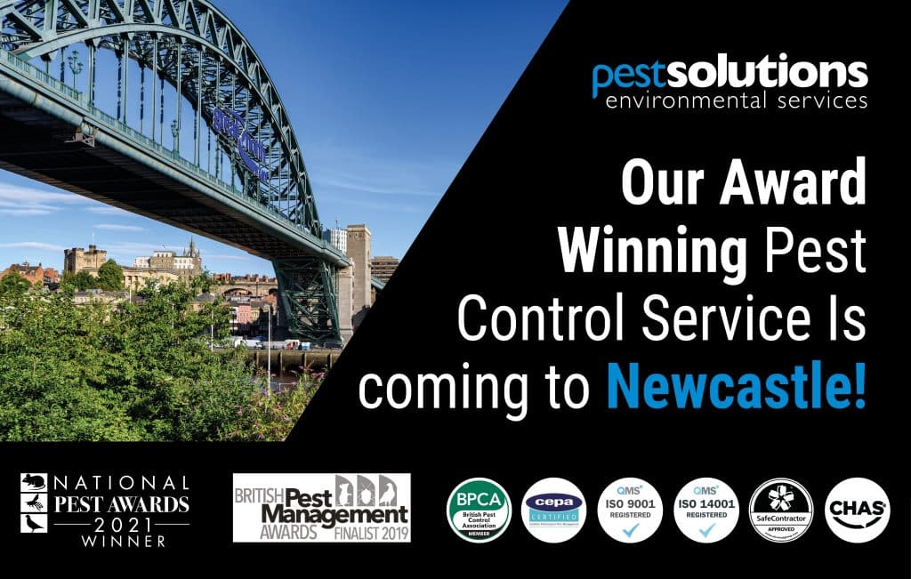 Pest Control Newcastle - Sunderland - Middlesbrough - Pest Solutions