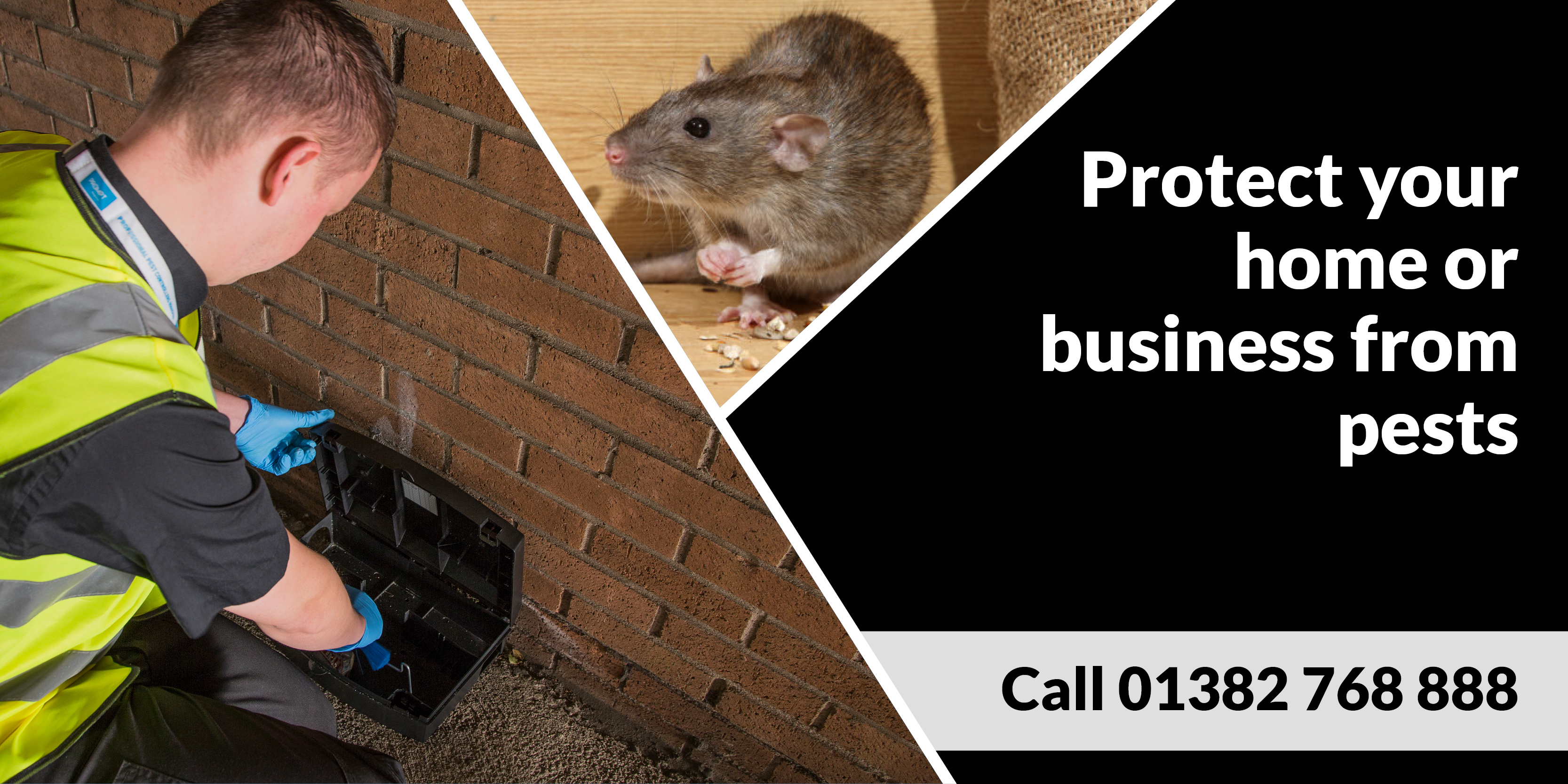 Pest Control Company Dundee Pest Solutions - Pest Solutions