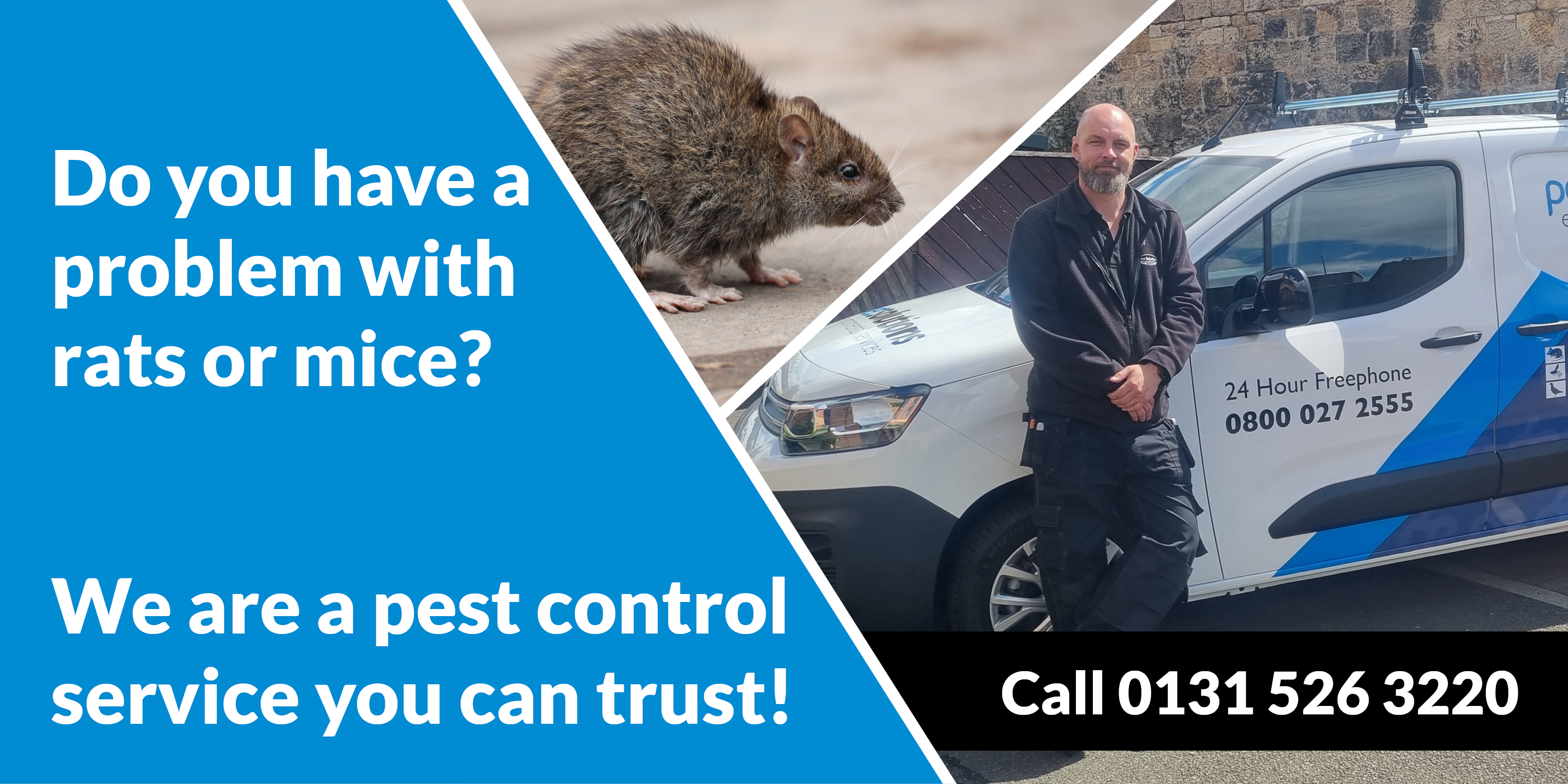- Pest Solutions