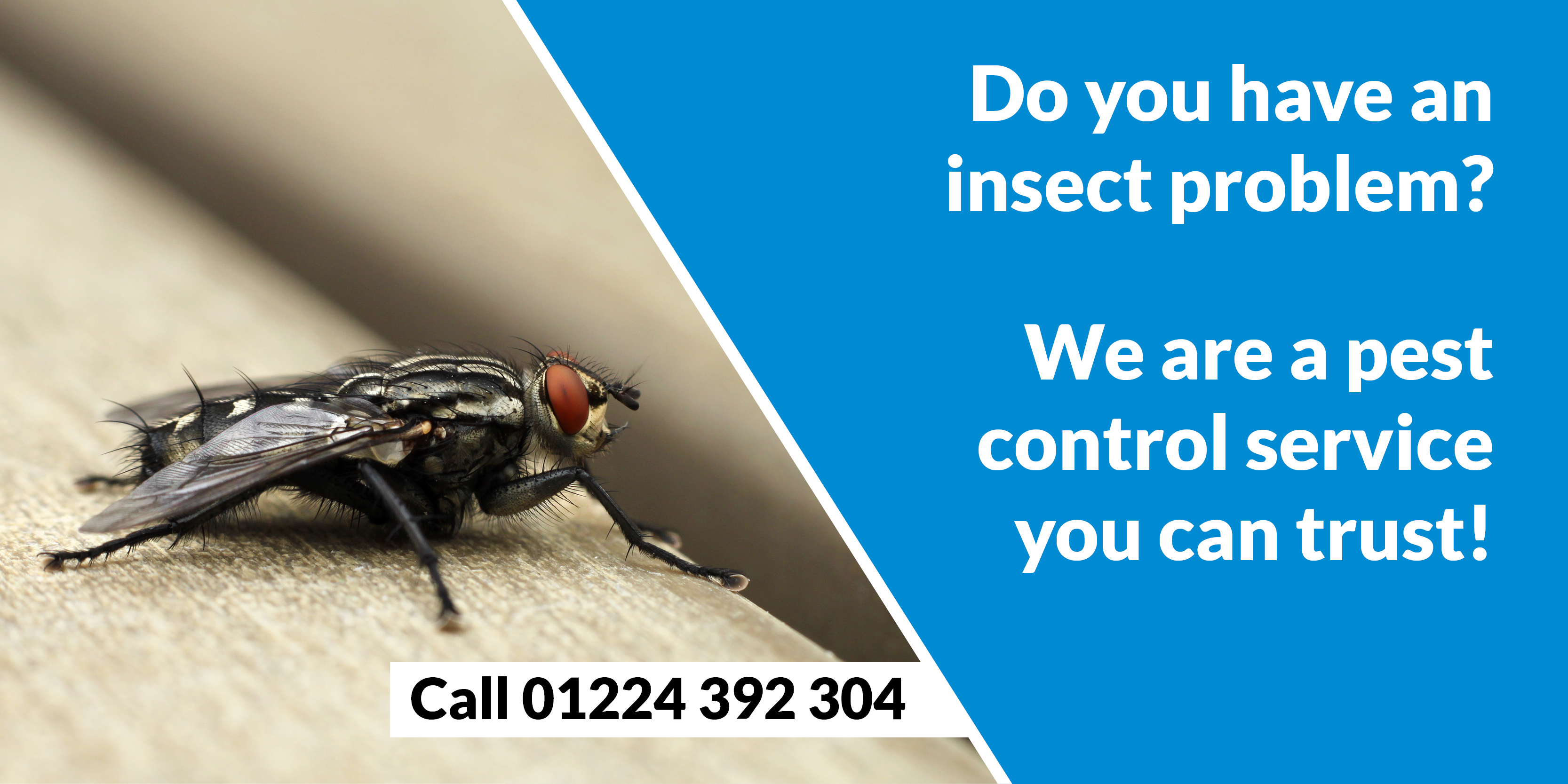 Pest Control Professionals Aberdeen Pest Solutions - Pest Solutions