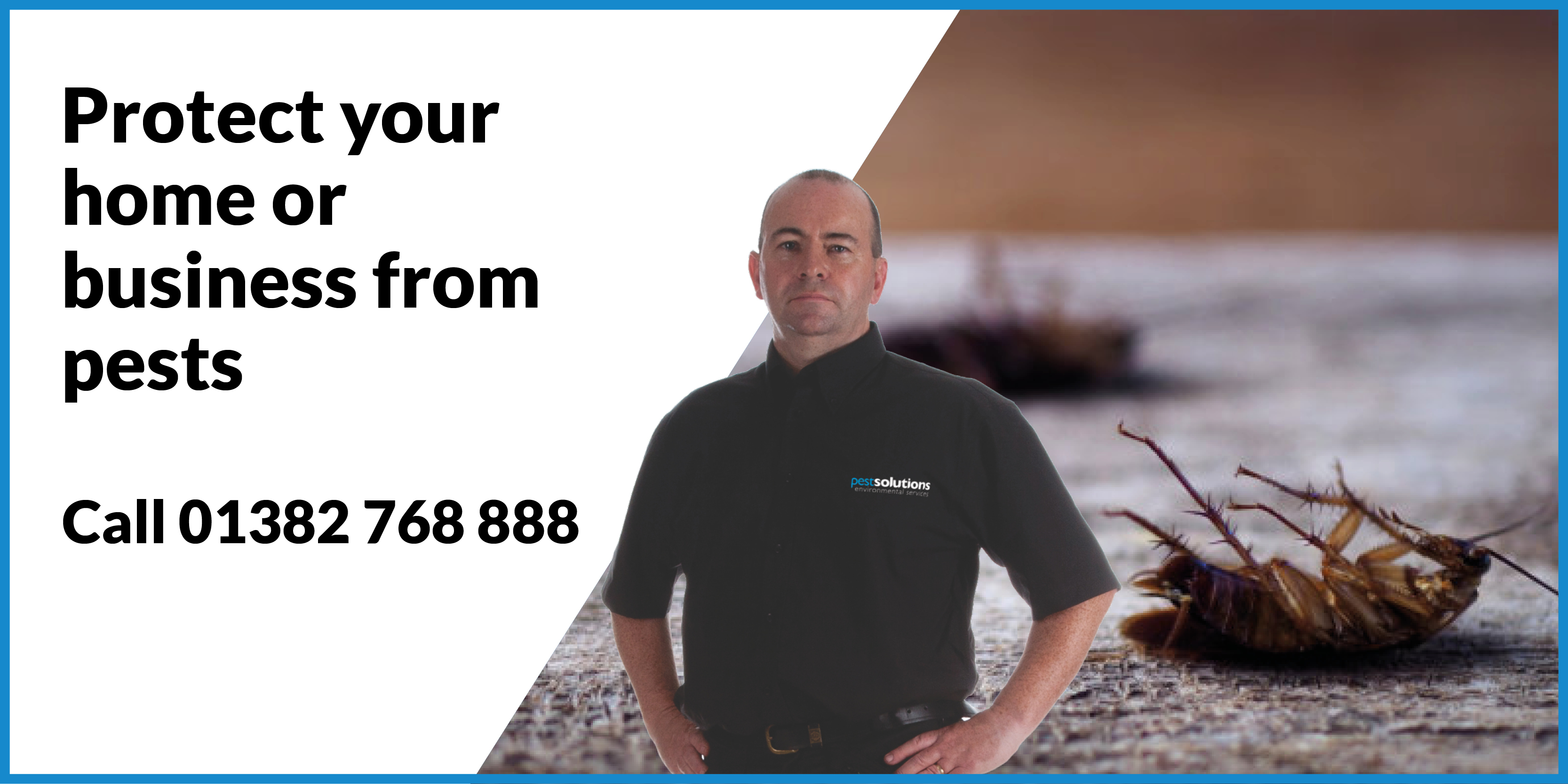 Pest Management Dundee Pest Solutions - Pest Solutions