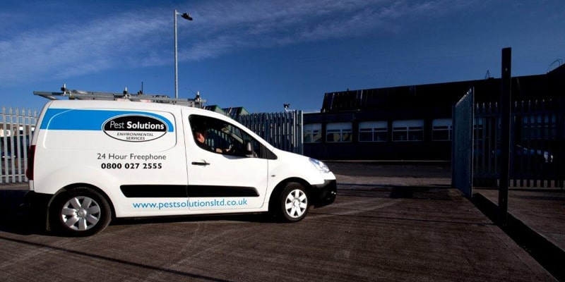 Pest Solutions Dundee - Pest Solutions