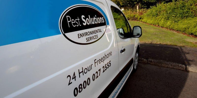 Pest Solutions Team In Dundee - Pest Solutions