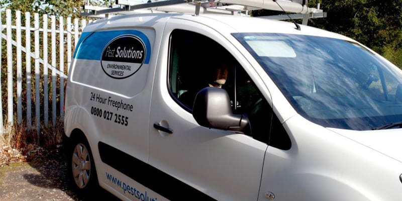 Pest Solutions In Dundee - Pest Solutions