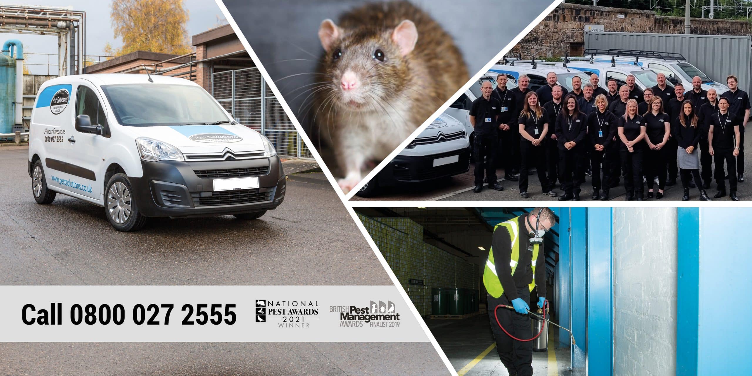 Professional Pest Control Services From Pest Solutions - Award Winning Pest Services