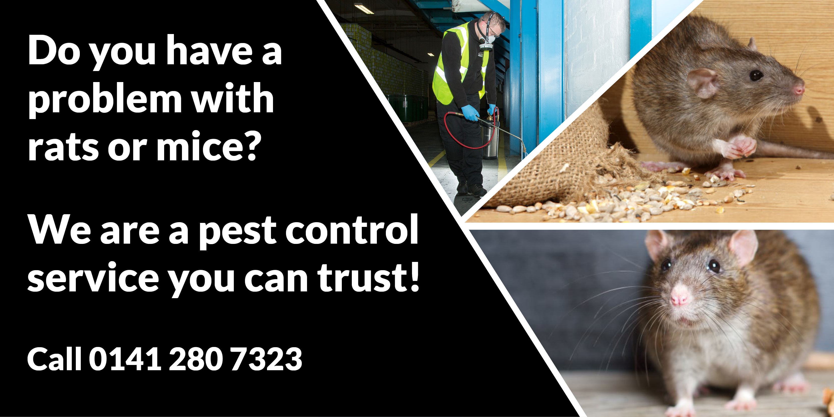 Professional Pest Control Glasgow Pest Solutions - Pest Solutions