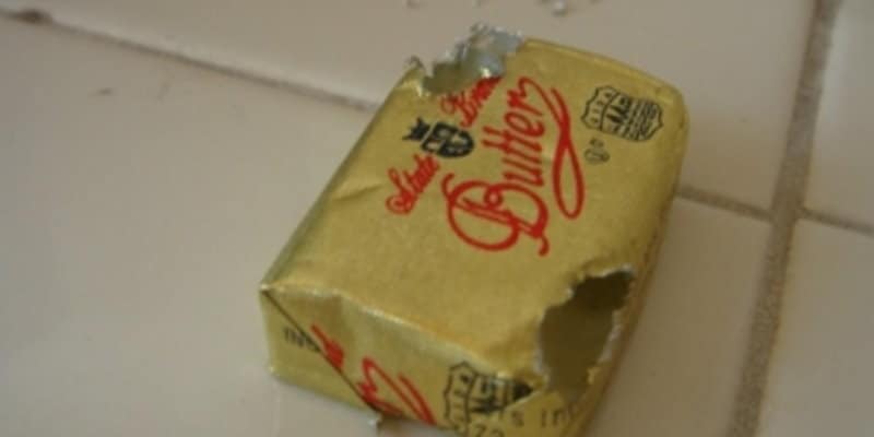 Rodent Damaged Butter Package - Rats - Mice - Pest Solutions Glasgow