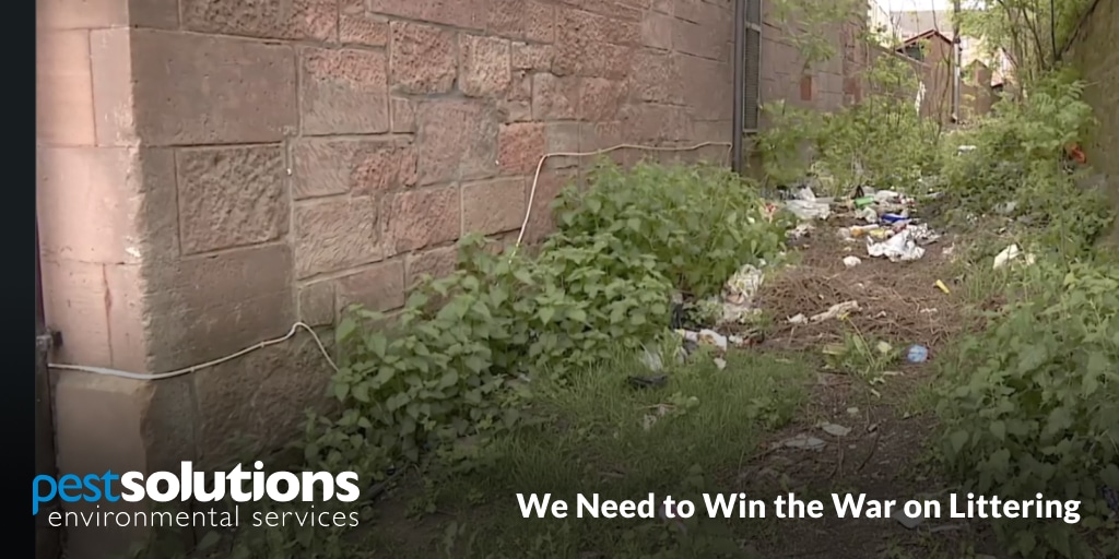 Win the War on Littering - Pest Solutions - Glasgows Rise In Rodent Infestations